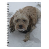 Cavapoo notitieboek (Voorkant)