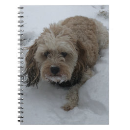 Cavapoo notitieboek