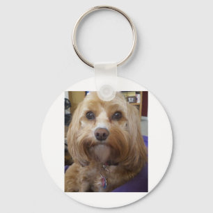 Cavapoo- of Cavadoedle-producten Sleutelhanger