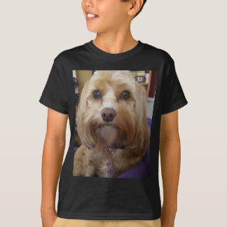 Cavapoo- of Cavadoedle-producten T-shirt