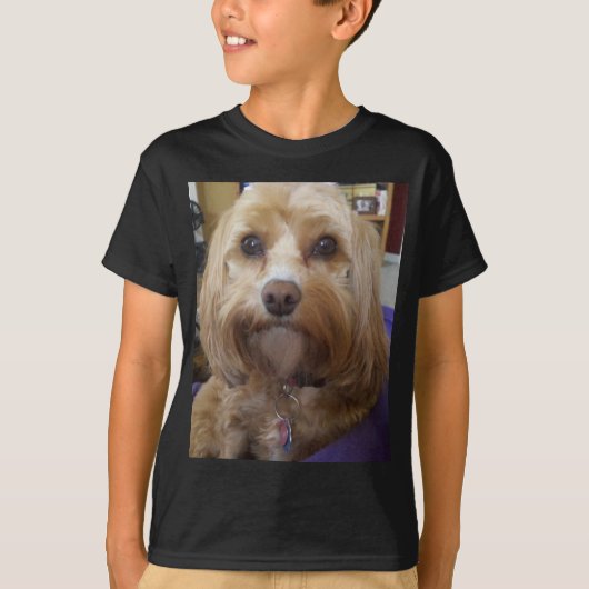 Cavapoo- of Cavadoedle-producten T-shirt (Voorkant)