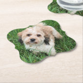 Cavapoo onderzetter (Gekanteld)