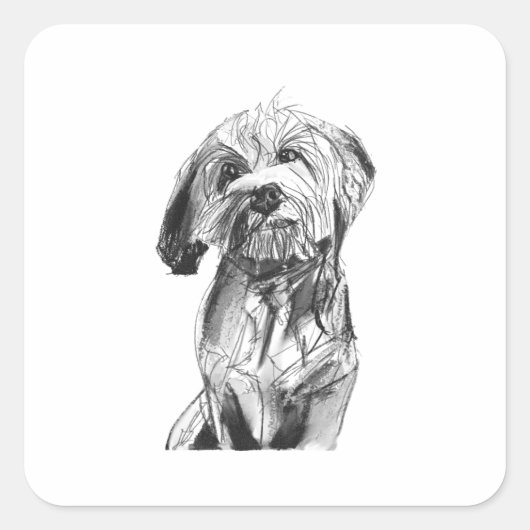 Cavapoo Sticker, Hond Liefhebber Illustratie Vierkante Sticker (Voorkant)