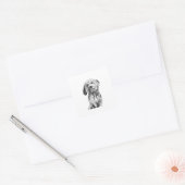 Cavapoo Sticker, Hond Liefhebber Illustratie Vierkante Sticker (Envelop)
