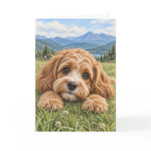 Cavapoo wenskaart