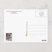 Cavates at Bandelier National Monument (NM) Briefkaart (Achterkant)