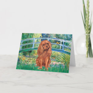 Cavavlier (Ruby7) - Bridge Kaart