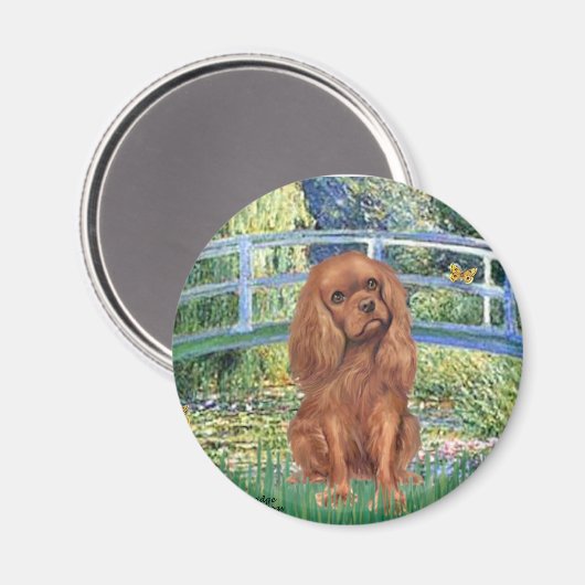 Cavavlier (Ruby7) - Bridge Magneet (Voorkant / Achterkant)