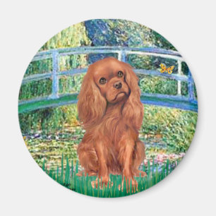 Cavavlier (Ruby7) - Bridge Magneet