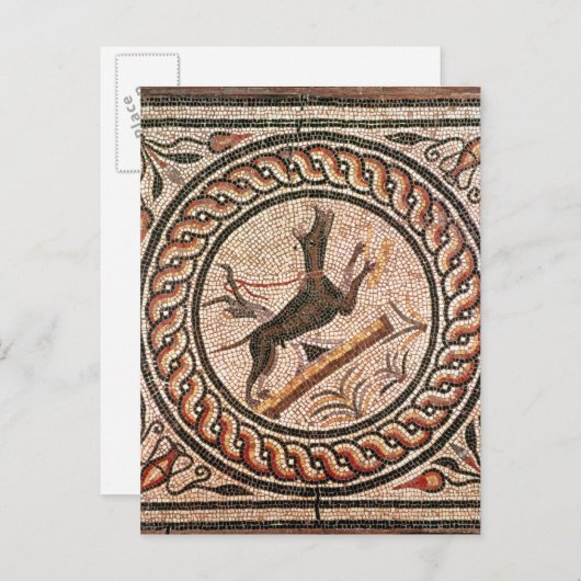 Cave Canem 2e-3e eeuw Briefkaart (Voorkant / Achterkant)