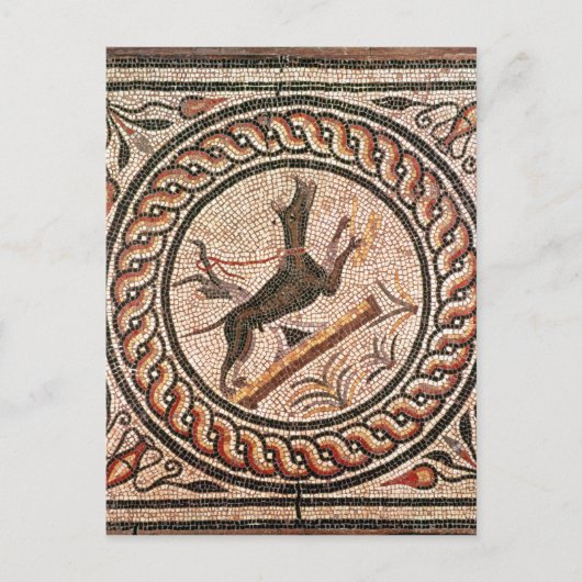 Cave Canem 2e-3e eeuw Briefkaart (Voorkant)