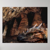 Cave Dragon Poster (Voorkant)