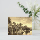 Cave Gardens, Nice France 1910 Briefkaart (Staand voorkant)
