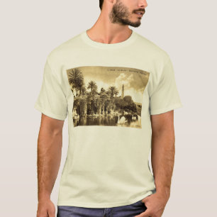 Cave Gardens, Nice France 1910  T-shirt