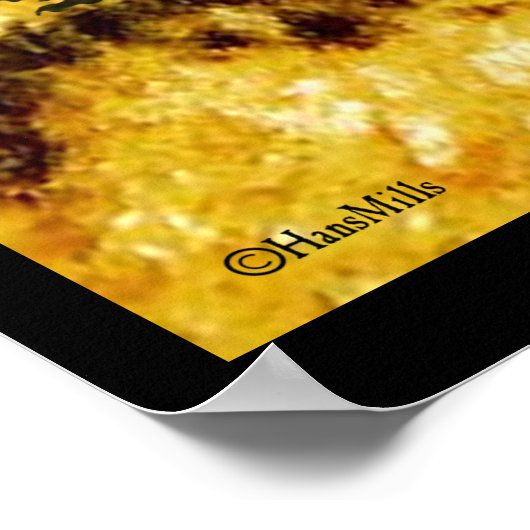 Cave Hedégels Poster (Hoek)