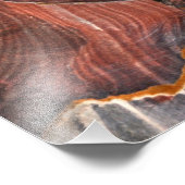 Cave in Petra, Jordan Foto Afdruk (Hoek)