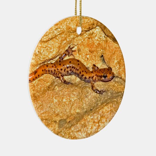 Cave Salamander Keramisch Ornament (Rechts)