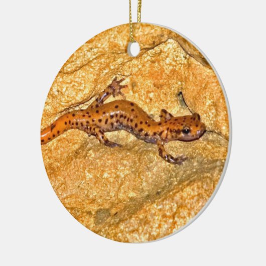 Cave Salamander Keramisch Ornament (Links)
