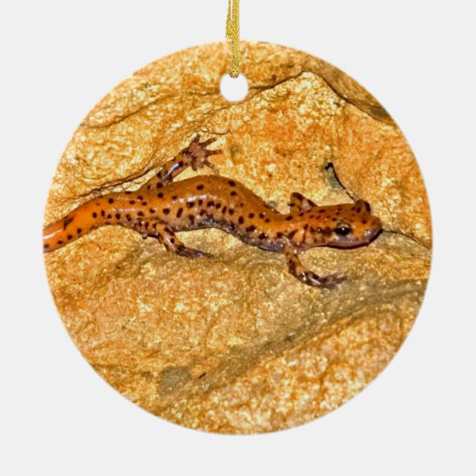 Cave Salamander Keramisch Ornament (Achterkant)