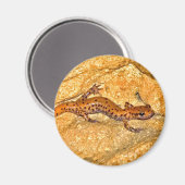 Cave Salamander Magneet (Voorkant / Achterkant)