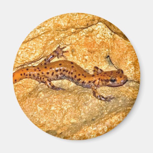 Cave Salamander Magneet (Voorkant)