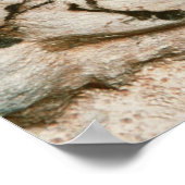 Cave tekeningen Lascaux Franse prehistorische teke Poster (Hoek)