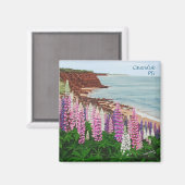 Cavendish Cliffs and Spring Lupins Square Magnet (Voorkant / Achterkant)