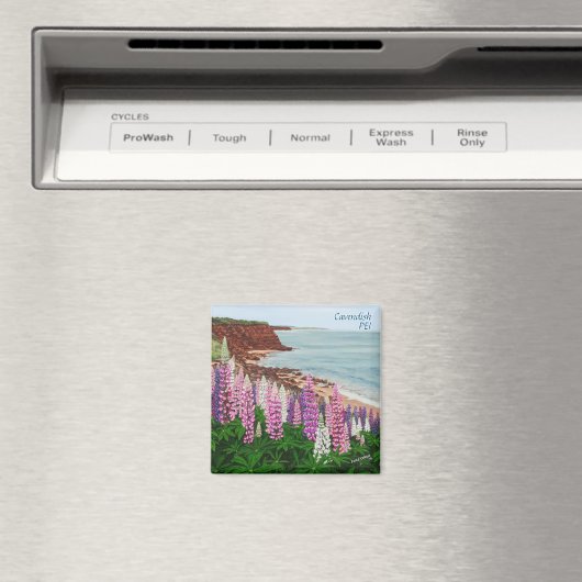 Cavendish Cliffs and Spring Lupins Square Magnet (Insitu (Vaatwasser))