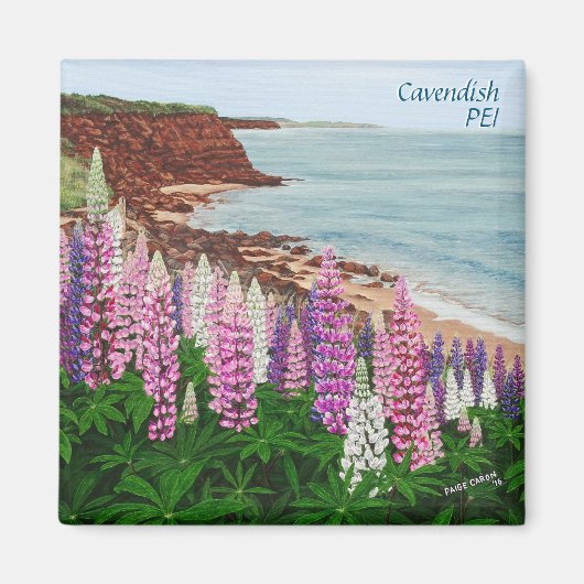 Cavendish Cliffs and Spring Lupins Square Magnet (Voorkant)