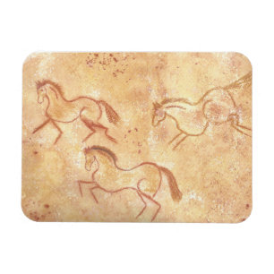 Cavetekening van paarden magneet