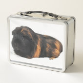 Cavia (Achterkant)