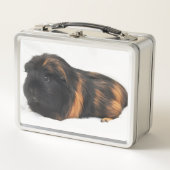 Cavia (Voorkant)