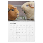 Cavia 2024 kalender (Mar 2026)
