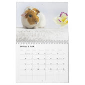 Cavia 2024 kalender (Feb 2026)