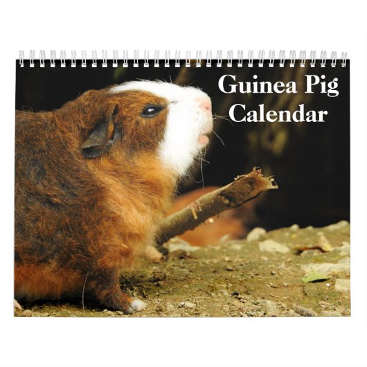 Cavia 2024 kalender (Hoes)