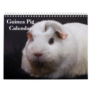 Cavia 2027 kalender