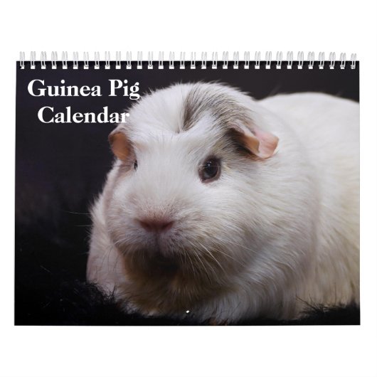 Cavia 2027 kalender (Hoes)