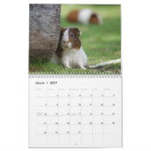Cavia 2027 kalender (Mar 2027)