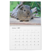 Cavia 2027 kalender (Jan 2027)