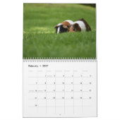 Cavia 2027 kalender (Feb 2027)