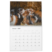 Cavia 2027 kalender (Jan 2027)