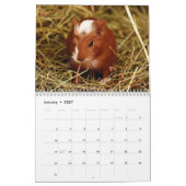Cavia 2027 kalender (Jan 2027)