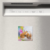 cavia-5924328 magneet (Insitu (Vaatwasser))