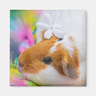 cavia-5924328 magneet