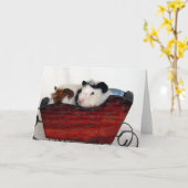 Cavia Baby's in een rode slee Kaart (Gele Bloem)