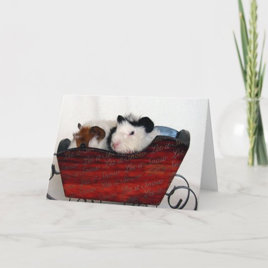 Cavia Baby's in een rode slee Kaart (Voorkant)