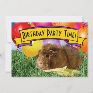 Cavia-ballonnen voor het 5e verjaardagsfeestje van kaart