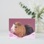 cavia briefkaart (Staand voorkant)