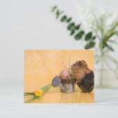 cavia briefkaart (Staand voorkant)