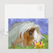 cavia briefkaart (Voorkant / Achterkant)